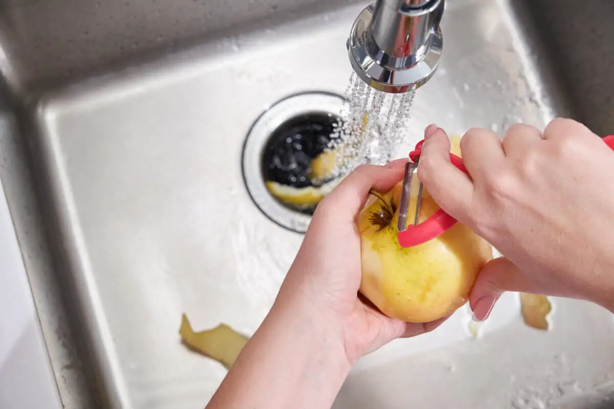 Batch Feed VS Continuous Feed Garbage Disposals (Differences, Pros