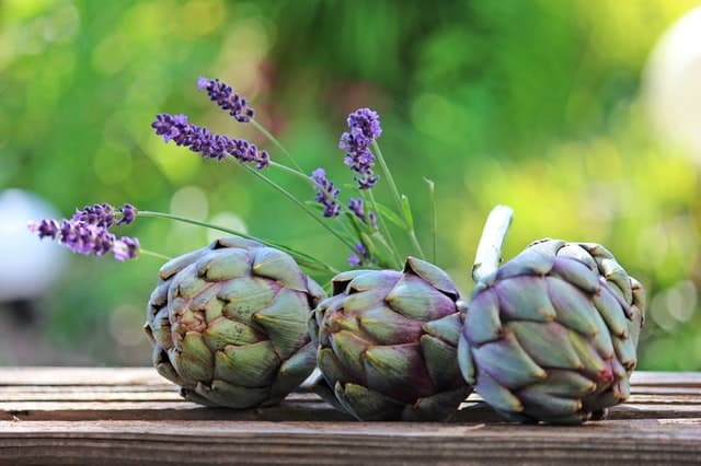 Artichokes