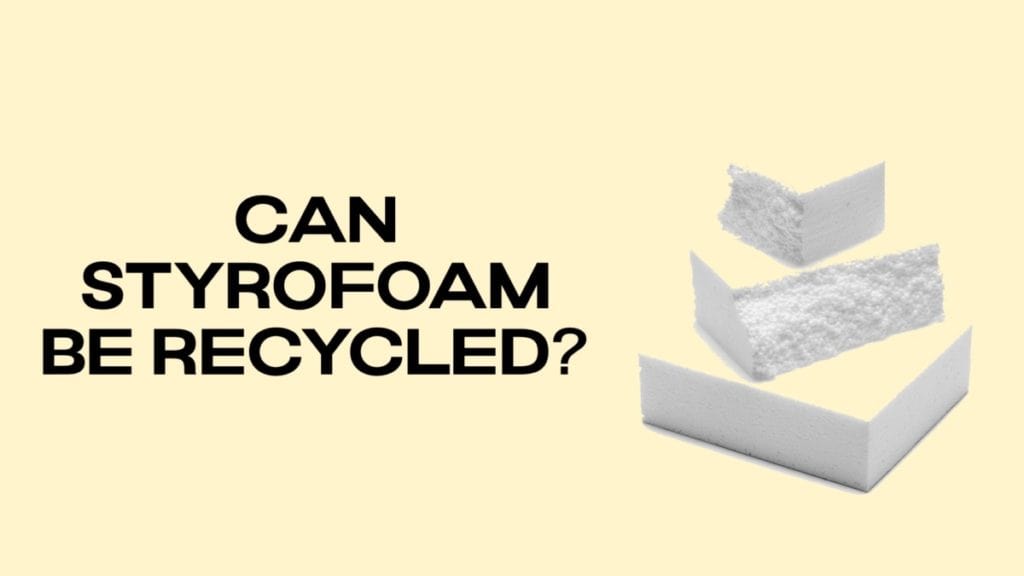 Can Styrofoam Be Recycled DisposalXT